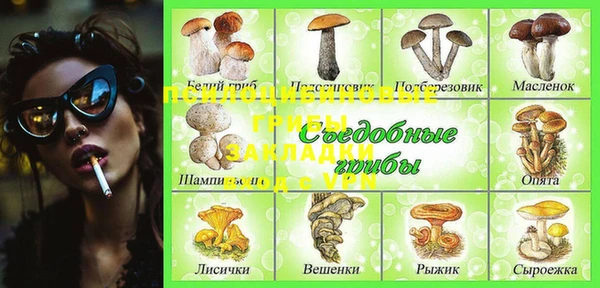 mix Сосновый Бор