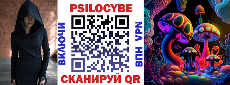 Купить закладки  Плавск  Псилоцибиновые грибы мицелий 